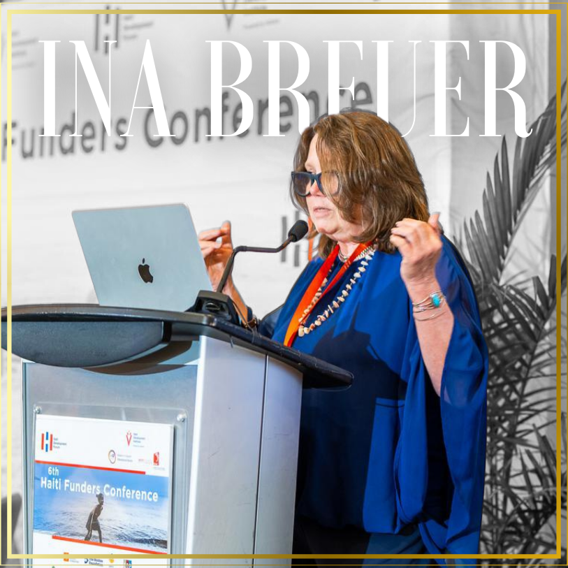 Executive Director, Network of Engaged International Donors